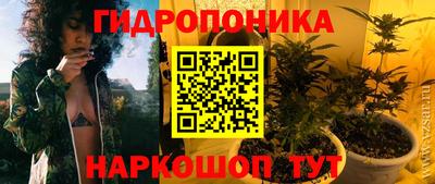 гидра Славянск-на-Кубани